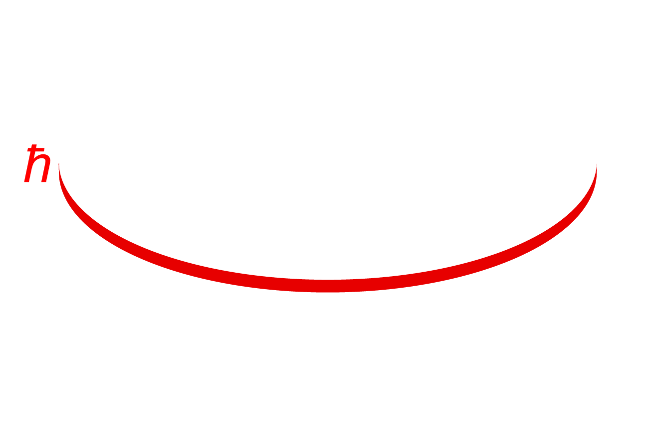 QMS2024 Rice Center For Quantum Materials RCQM Rice University